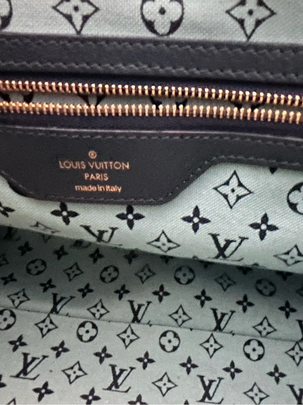 Louis Vuitton  Seaside Tote